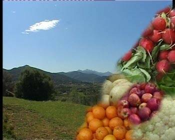 PER L’ASSOCIAZIONE AGRICOLTORI BIOLOGICI ELBANI “SERVIZI CARENTI, POLITICHE URBANISTICHE, ECOMOSTRI, ESPROPRI PER LA BIOEDILIZIA: ALL’ELBA NON E’ CAMBIATO NULLA”