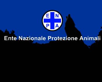 ENPA, RACCOLTA DI CIBO PER CANI E GATTI