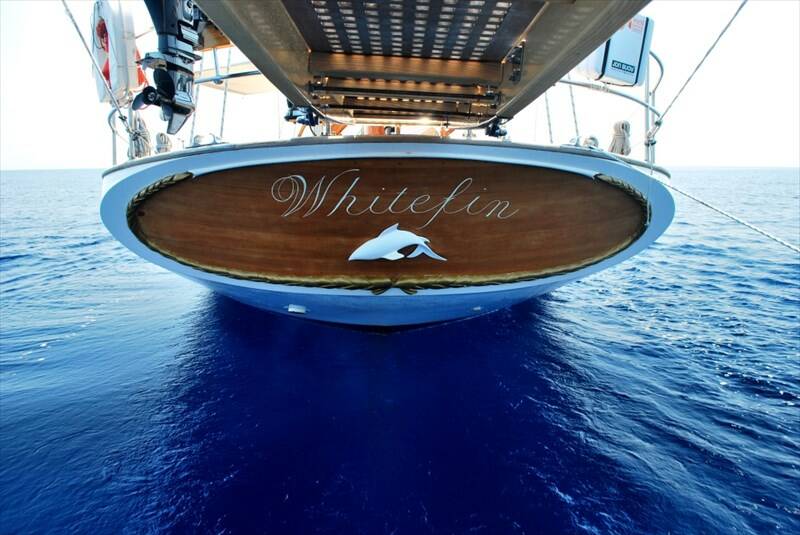 Visite eccellenti in cantiere d'inverno: il Whitefin