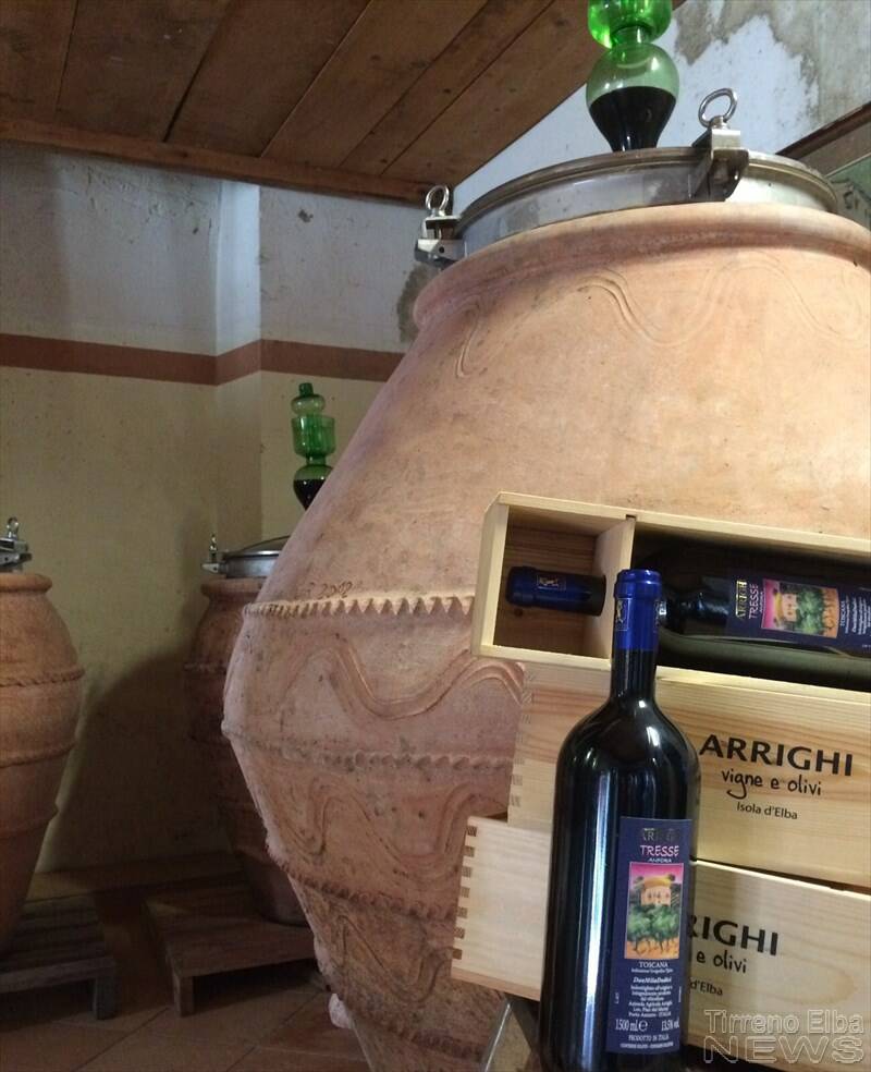Azienda elbana fra i produttori mondiali di vini in terracotta 