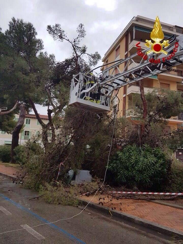 Maltempo, alberi caduti a Portoferraio per il forte vento