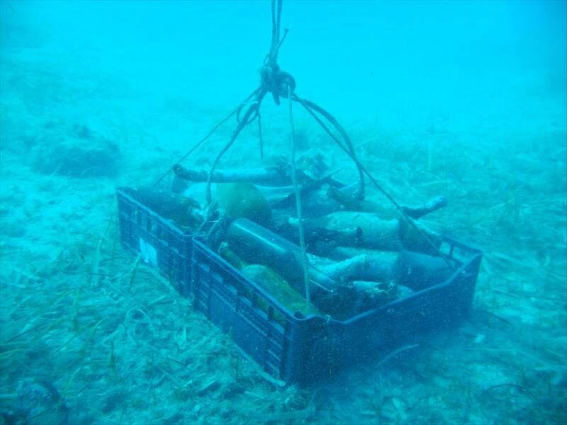 Isola di Giannutri, sub volontari puliscono i fondali grazie al Progetto GIREPAM