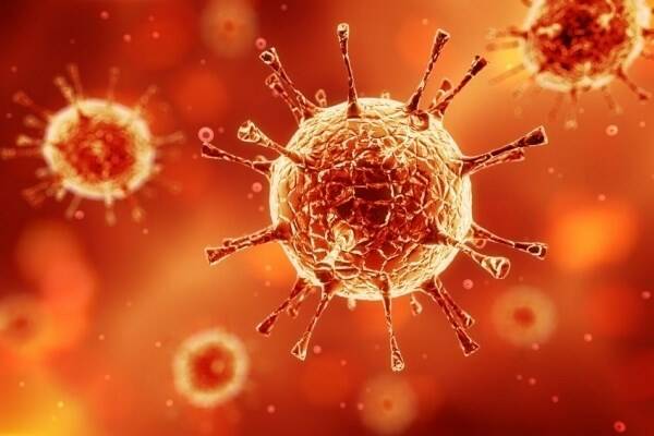 Coronavirus, il bollettino di martedì 16 Febbraio: riscontrati 6 nuovi casi positivi all'Elba