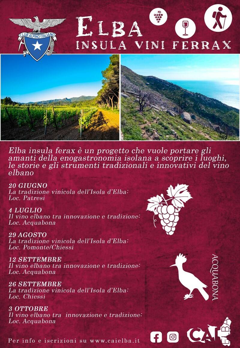 Domenica 20 giugno ELBA: INSULA VINI FERAX - La tradizione vinicola dell'Isola d'Elba: Patresi
