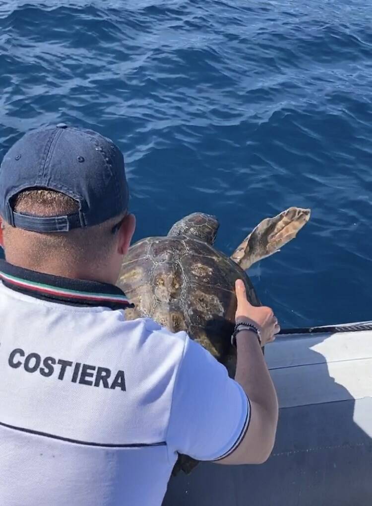 Guardia Costiera presta soccorso ad una tartaruga in difficoltà