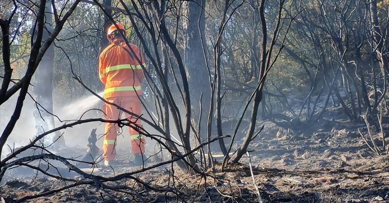 Porto Azzurro, sotto controllo l'incendio boschivo