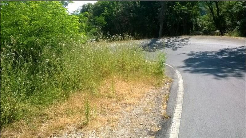 Prosegue la campagna di taglio dell’erba lungo le strade provinciali elbane
