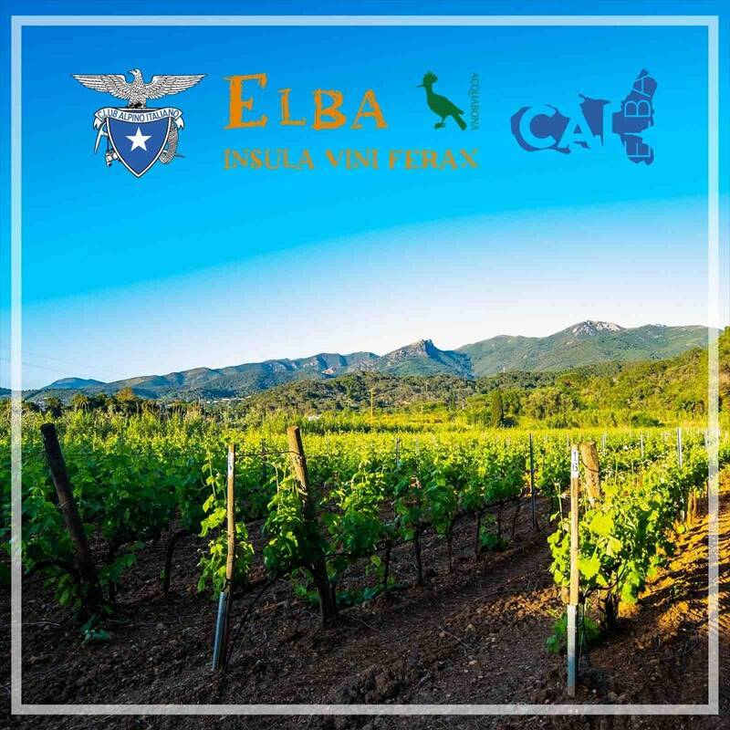 Domenica 12 settembre "Elba insula vini ferax, il vino fra innovazione e tradizione: Acquabona"
