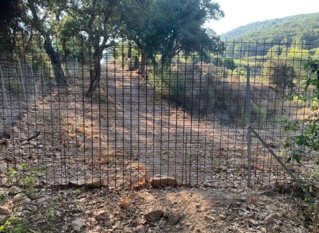 Chiusura di due sentieri all’Elba, Legambiente scrive ai sindaci di Portoferraio e Rio