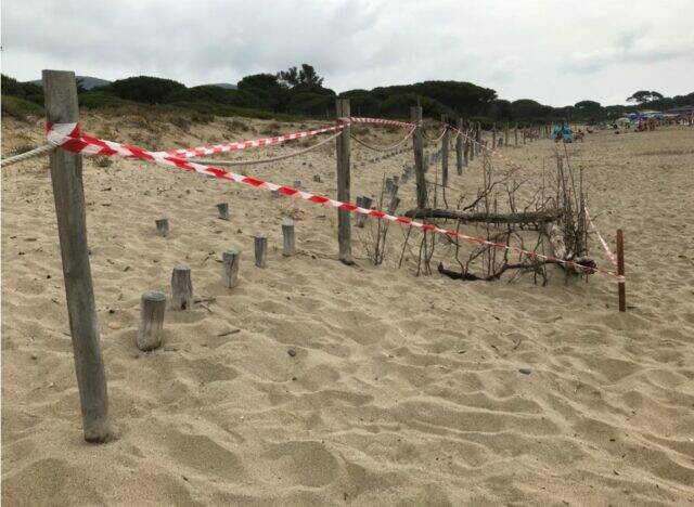 spiaggia di lacona