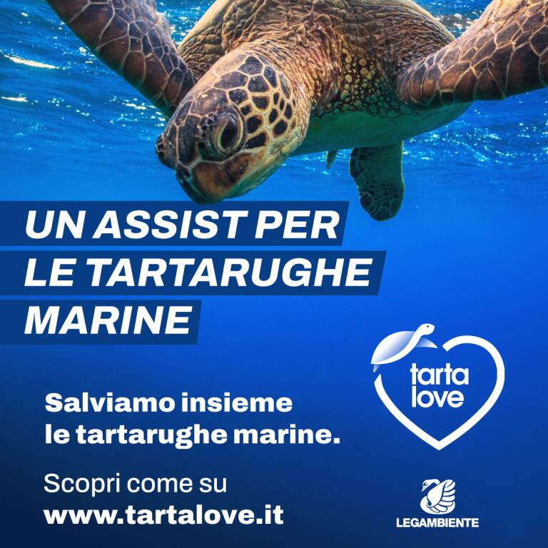 La Lega Serie A e Legambiente a sostegno della campagna Tartalove - Tirreno Elba News